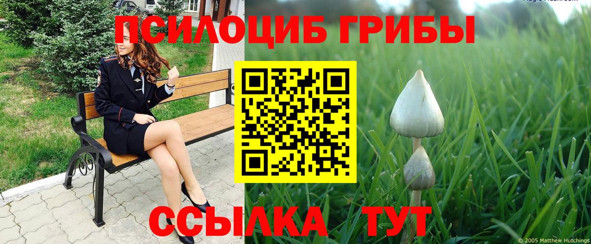 Псилоцибиновые грибы Cubensis  Псилоцибиновые грибы Psilocybe  Вход с VPN  где можно купить наркотик  Джанкой 