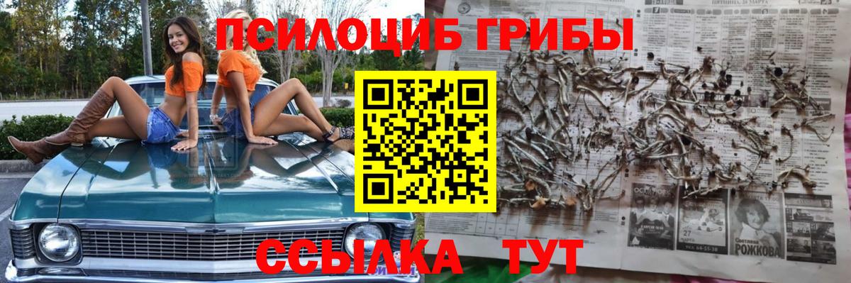 Галлюциногенные грибы Psilocybe Джанкой